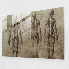 Painted Anarchy Leonardo Da Vinci Glass Print - Leonardo Da Vinci, Glass Art, Glass Print, Glass Wall Art, 45X30