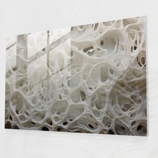 Painted Anarchy Paleolitik Gravür Cam Duvar Sanatı - Mezolitik, Modern Sanat, Cam Baskı, Duvar Dekorasyonu, 45X30