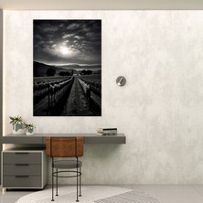 Painted Anarchy Şarap Duvar Tablosu - Mehtaplı Bağ - Şarap, Kanvas Tablo, Mehtaplı Üzüm Bağı Kanvas Tablo, Şarap Duvar Tablosu, 30X50