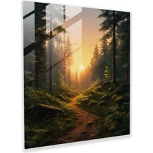 Painted Anarchy Huzurlu Orman Gündoğumu Cam Baskı - Gündoğumu, Cam Duvar Sanatı, Huzurlu, Cam Baskı, 30X30