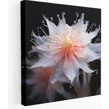 Painted Anarchy Kır Çiçeği Kanvas Tablo - Fotogerçekçi Duvar Sanatı - Kır Çiçeği, Kanvas Tablo, Duvar Dekorasyonu, Narin Yapraklar, 30X30