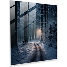 Painted Anarchy Mehtaplı Orman Cam Baskı - Kış, Karlı Orman, Ayışığı, Ev Dekorasyonu, 30X30