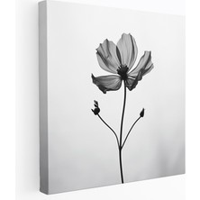 Painted Anarchy Kır Çiçeği Kanvas Tablo - Sade Elegance - Kır Çiçeği, Sadelik, Duvar Sanatı, Kır Çiçeği, 30X30
