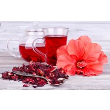 Morlalem Kırmızı Hibiskus, Bamya Çiçeği, Nar Çiçeği, Mekke Gülü, Aromatik Tıbbi Bitki, Pet Bardakta Mini Fide