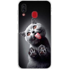 Printify Samsung Galaxy A30 ile Uyumlu Kedi 2 Kamera Korumalı Şeffaf Kılıf