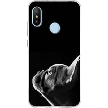 Printify Xiaomi Mi A2 Lite ile Uyumlu Köpek 1 Kamera Korumalı Şeffaf Kılıf