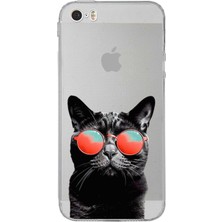 Printify Apple iPhone 5 ile Uyumlu Kedi 3 Kamera Korumalı Şeffaf Kılıf