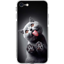 Printify Apple iPhone 8 ile Uyumlu Kedi 2 Kamera Korumalı Şeffaf Kılıf