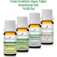 Intense Natural Fresh Ferahlarıcı Aromaterapi Uçucu Yağlar Seti %100 Saf ve Doğal Tazeleyici Buhurdanlık Yağı No:1