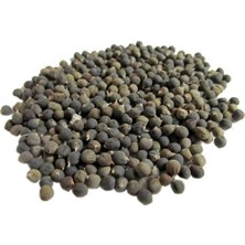 Lokman Aktar   Bamya Tohumu 1 kg