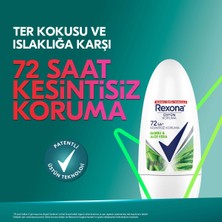 Rexona Üstün Koruma Kadın Roll On Deodorant Bambu & Aloe Vera 72 Saat Kesintisiz Koruma 50 Ml