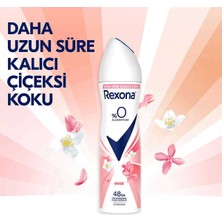 Rexona Kadın Sprey Deodorant Musk %0 Alüminyum 150 ml x3