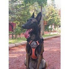 Tactical Göğüs Tasması Taktik Tasma Turuncu