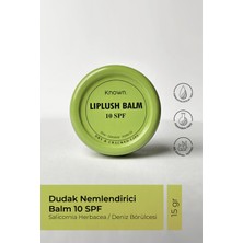 Known. Dudak Koruyucu, Onarıcı Ve Nemlendirici Balm  10 Spf - 15g (Olive Oil-Calendula Oil-Jojoba Oil)