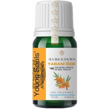 Young Souls Aromatherapy Sea Buckthorn Carrier Oil Yabani Yalancı İğde Taşıyıcı Yağ 10 Ml