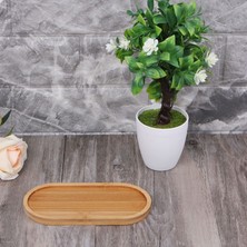 Xifu Shop B 8cm Tarzı Elips Şekilli Bambu Ahşap Tabak Saksı Mini Bitki Çiçek Saksı Standı Succulent Saksı Tepsi Basit Şık Tasarım Ev Balkonu (Yurt Dışından)