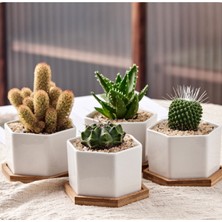 Xifu Shop B 8cm Tarzı Elips Şekilli Bambu Ahşap Tabak Saksı Mini Bitki Çiçek Saksı Standı Succulent Saksı Tepsi Basit Şık Tasarım Ev Balkonu (Yurt Dışından)