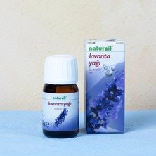 Naturoil Lavanta Yağı 20 ml