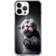 Printify Apple iPhone 13 Pro Uyumlu Kedi 2 Baskılı Şeffaf Köşe Korumalı Antişok Kılıf