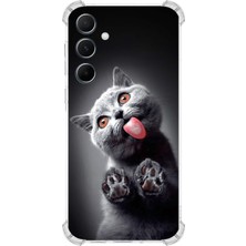 Printify Samsung Galaxy A55 Uyumlu Kedi 2 Baskılı Şeffaf Köşe Korumalı Antişok Kılıf