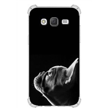 Printify Samsung Galaxy J5 Uyumlu Köpek 1 Baskılı Şeffaf Köşe Korumalı Antişok Kılıf