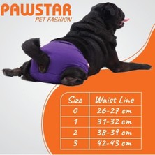 Pawstar Mor Kedi-Köpek Çamaşırı Regl Kilodu