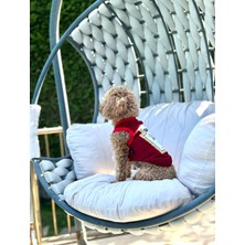 Salya Store Köpek Atlet Barbeque Souce Yeni