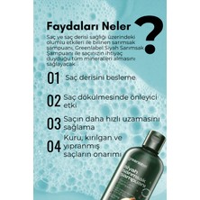Green Label Siyah Sarımsak Özlü Parabensiz Tuzsuz Dökülme Ve Kepek Karşıtı Şampuan 400ml