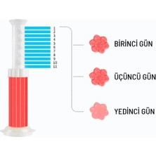 Bii Alışveriş Sakura Pembe Tuvalet Temizleme Jeli Klozet Banyo Koku Giderici Damga Seti Desenli Koku Giderici