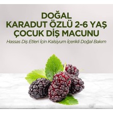 Eyüp Sabri Tuncer Doğal Karadut Özlü 2-6 Yaş Çocuk Diş Macunu 60 ml 5 Adet