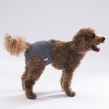 Pawstar Gri Kedi-Köpek Çamaşırı Regl Kilodu Kedi-Köpek Kıyafeti