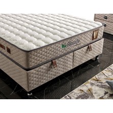 İmaj Biosafe Set Baza+Yatak+Başlık Çift Kişilik 160X200 cm