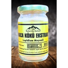 Maca Kök Toz Ekstrak 50 gr