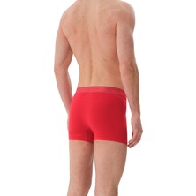 Uwxander 3'lü Erkek Pamuklu Boxer - Xpack 6