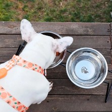 Dog.İst Stone Paslanmaz Çelik Ergonomik Antibakteriyel Küçük Orta Büyük Irk Köpek Mama ve Su Kabı