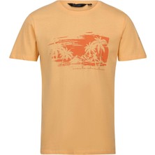Regatta Cline Vıı Erkek T-Shirt-Turuncu