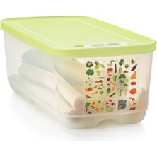 Tupperware Sera 6.1 Alçak Gövde Lime