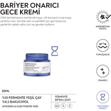 Anyong Bariyer Onarıcı, Nemlendirici ve Canlandırıcı Cilt Bakım Seti Tonik, Serum, Krem Ginseng & Yeşil Çay