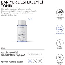 Anyong Bariyer Onarıcı, Nemlendirici ve Canlandırıcı Cilt Bakım Seti Tonik, Serum, Krem Ginseng & Yeşil Çay