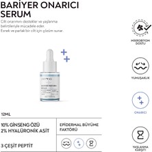 Anyong Bariyer Onarıcı, Nemlendirici ve Canlandırıcı Cilt Bakım Seti Tonik, Serum, Krem Ginseng & Yeşil Çay