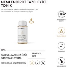 ANYONG Salyangoz Özü Nemlendirici, Aydınlatıcı, Yatıştırıcı Cilt Bakım Seti Tonik, Serum, Krem - Niacinamide & Meyan Kökü & Bal