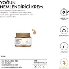 ANYONG Salyangoz Özü Nemlendirici, Aydınlatıcı, Yatıştırıcı Cilt Bakım Seti Tonik, Serum, Krem - Niacinamide & Meyan Kökü & Bal