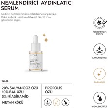 ANYONG Salyangoz Özü Nemlendirici, Aydınlatıcı, Yatıştırıcı Cilt Bakım Seti Tonik, Serum, Krem - Niacinamide & Meyan Kökü & Bal