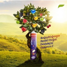 Nutrefor Optimus C Formül 15 Efervesan Tablet