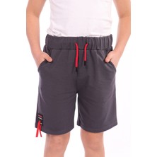 Toontoy Kids Toontoy Erkek Çocuk Paça Kısmı Armalı Şort