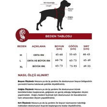 Özel Tasarım Sezar Deri Köpek Boyun Tasması Kırmızı Lacivert
