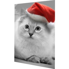 Binlerce Tablo Noel Şapkalı Gri Tatlı Kedi | Hediyelik, Dekoratif, Ofis, Mutfak