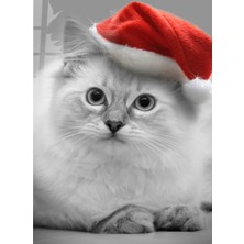 Binlerce Tablo Noel Şapkalı Gri Tatlı Kedi | Hediyelik, Dekoratif, Ofis, Mutfak