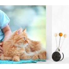 Interaktif Kedi Oyuncaklar Catnip Rulo Topu ile Teaser Sopa Tumbler Iq Geliştirmek Eğitim Oyuncaklar Kitten Oyna Eğlence Pet Malzemeleri | Kedi Oyuncakları (Yurt Dışından)