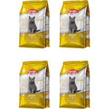 Energy Tavuklu Yetişkin Kedi Maması 500 G - 4 Adet